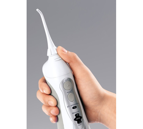 Ирригатор Panasonic EW1411H321