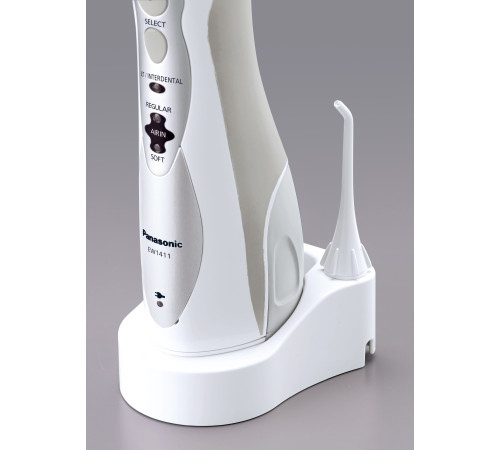 Ирригатор Panasonic EW1411H321