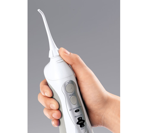 Ирригатор Panasonic EW1411H321