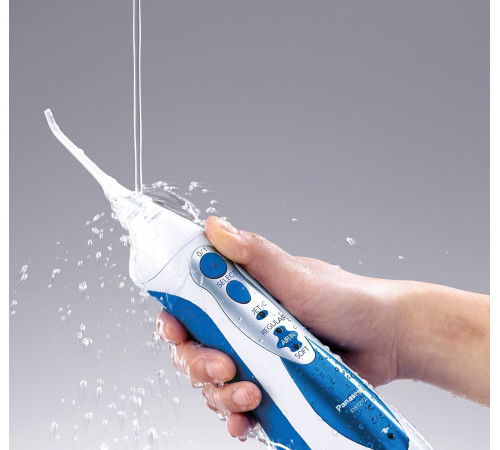 Ирригатор Panasonic EW1211A321