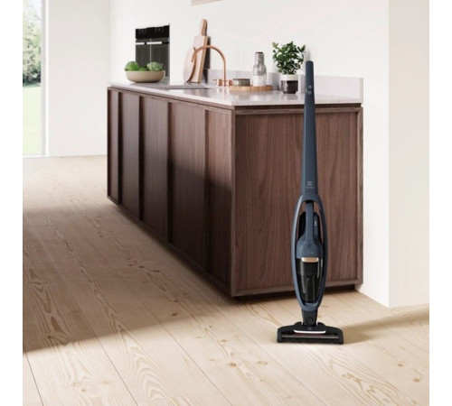 Аккумуляторный пылесос Electrolux WQ61-46DB