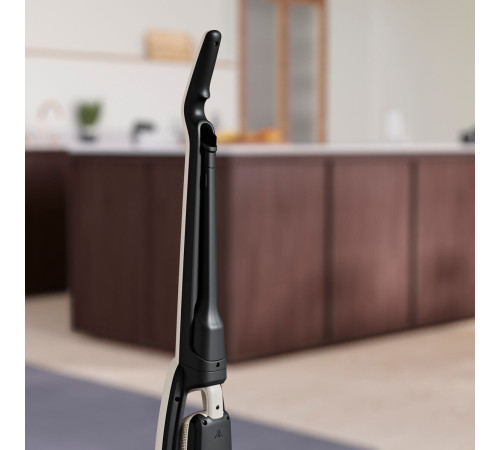 Аккумуляторный пылесос Electrolux WQ61-44SW