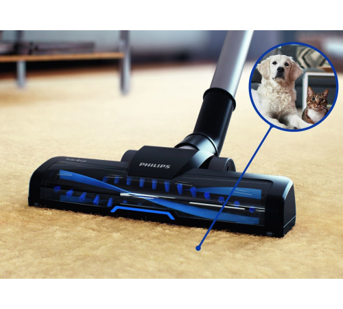 Пылесос без мешка Philips 5000 Series FC9556/09