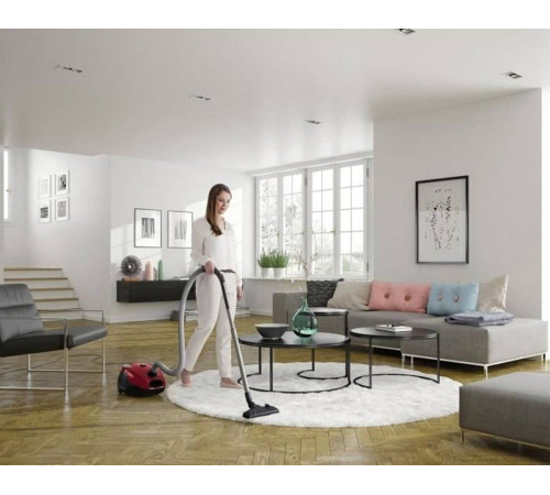 Пылесос Electrolux EPF61RR