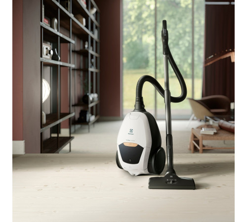 Пылесос Electrolux PD82-ALRG