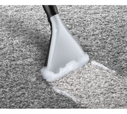 Миючий пилосос Bosch BWD421PET