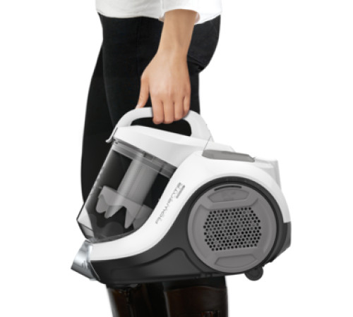 Пылесос без мешка Rowenta RO2957EA