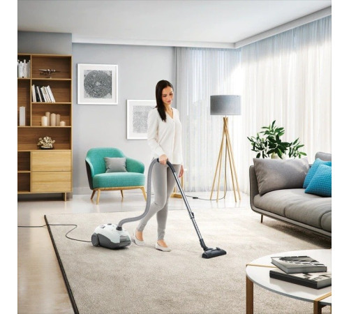 Пылесос Electrolux EEG41IW