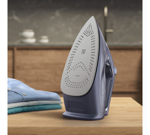 Праска Electrolux E6SI1-4MN 2500 Вт