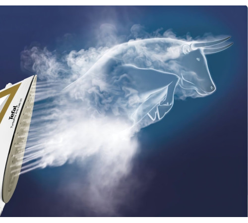 Праска Tefal FV5698E0