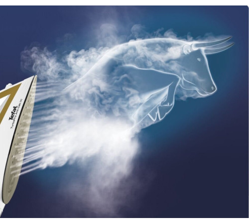 Праска Tefal FV5698E0