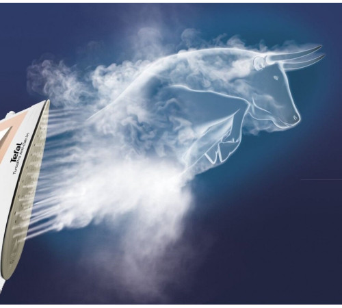 Праска Tefal FV5697E1