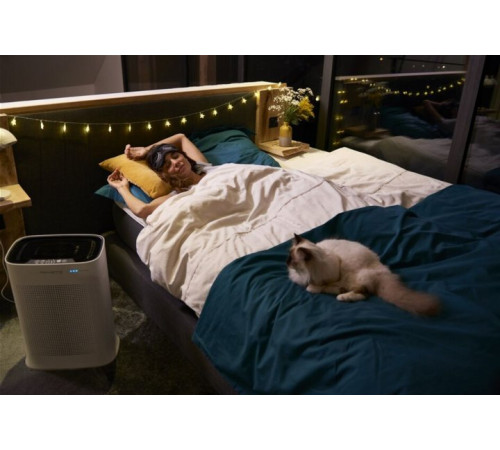 Очиститель воздуха ROWENTA Pure Air PU3040F0