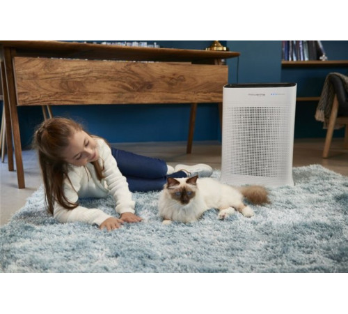 Очиститель воздуха ROWENTA Pure Air PU3040F0