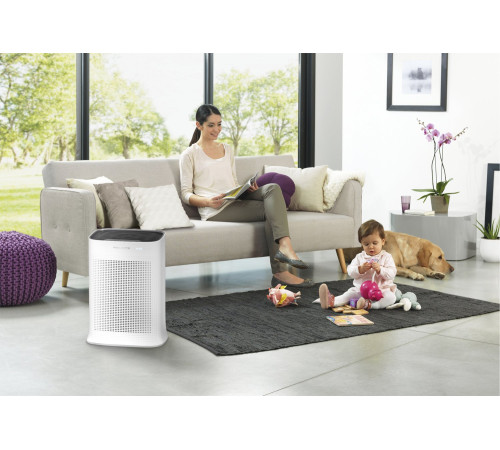 Очиститель воздуха ROWENTA Pure Air PU3040F0