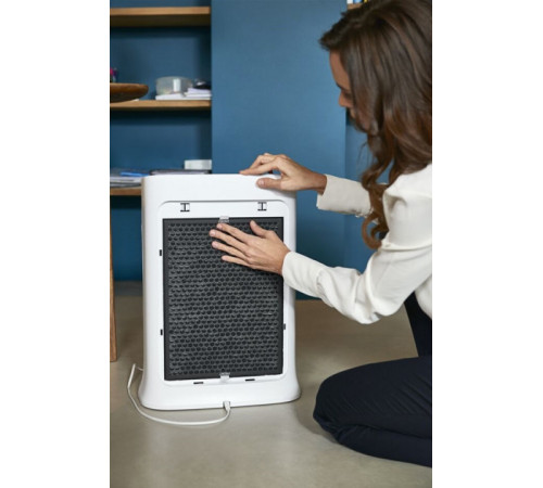 Очиститель воздуха Rowenta PU3080F0 Pure Air , 67 Вт, 32 Дб, белый