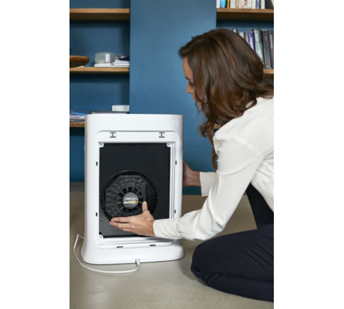 Очиститель воздуха Rowenta PU3080F0 Pure Air , 67 Вт, 32 Дб, белый