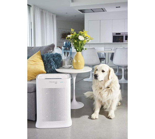 Очиститель воздуха Rowenta PU3080F0 Pure Air , 67 Вт, 32 Дб, белый