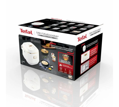 Мультиварка TEFAL Mini Multicooker RK601134