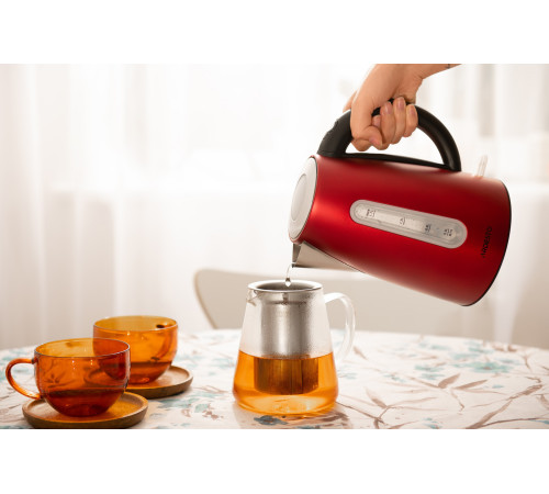 Электрочайник Ardesto EKL-F300R