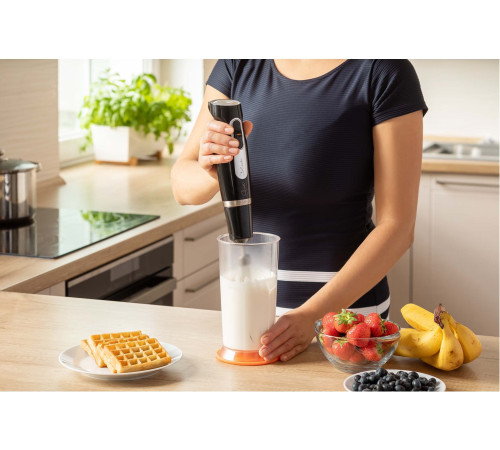 Занурюваний блендер Sencor SHB 4379BK