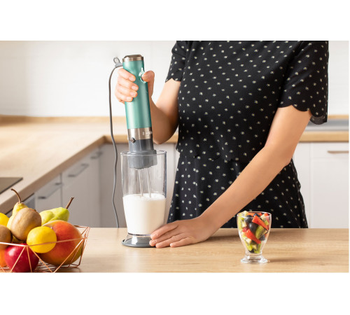 Занурюваний блендер Sencor SHB 5601GR