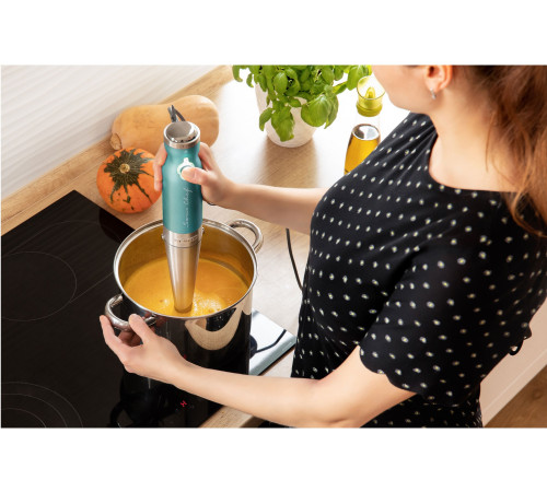 Занурюваний блендер Sencor SHB 5601GR