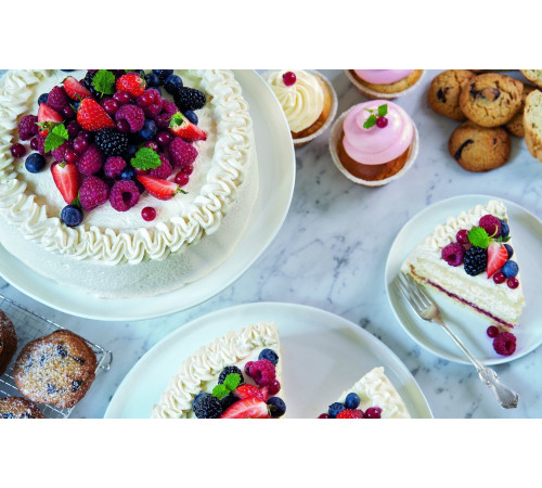 Миксер Electrolux ESM3310