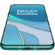 Смартфон OnePlus 8T KB2003 8/128Gb Aquamarine Green