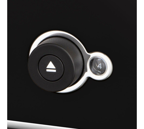 Тостер Russell Hobbs 26430-56 Distinctions 2-Slice, черный