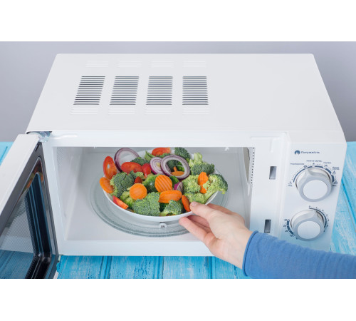 Микроволновая печь ERGO EM-2075