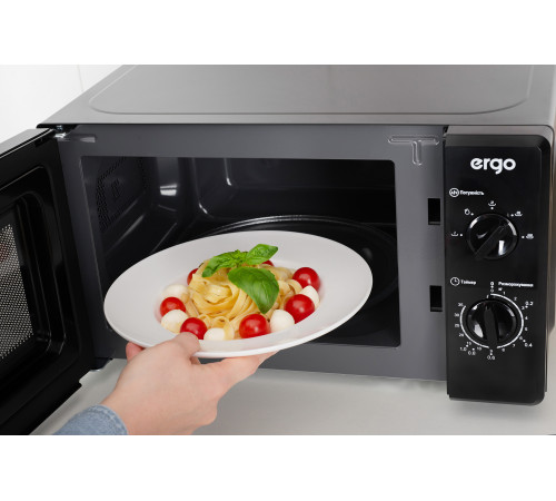 Микроволновая печь ERGO EM-2060