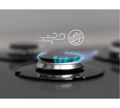 Варильна поверхня Electrolux GPE363MX