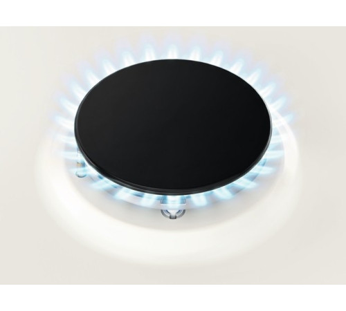 Варочная поверхность Zanussi GPZ263SN