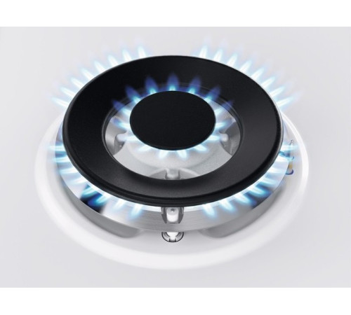 Варочная поверхность Zanussi GPZ363SW