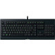 Ігрова клавіатура Razer Cynosa Lite US Layout (RZ03-02740600-R3M1)