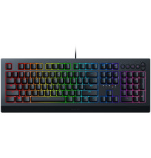 Ігрова клавіатура Razer Cynosa V2 (RZ03-03400700-R3R1)