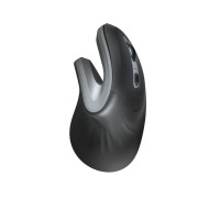 Мышь Trust VERRO ERGONOMIC WL (23507_TRUST)