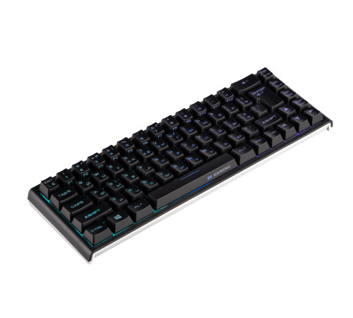Клавиатура игровая 2E Gaming KG350 RGB Black (2E-KG350UBK)