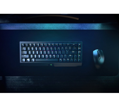 Ігрова клавіатура Razer BlackWidow V3 Mini HyperSpeed Green Switch WL/BT/USB RU RGB, Black (RZ03-03891600-R3R1)