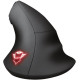 Миша Trust GXT144 Rexx Ergonomic Black (22991)