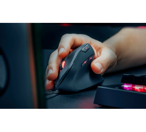 Миша Trust GXT144 Rexx Ergonomic Black (22991)