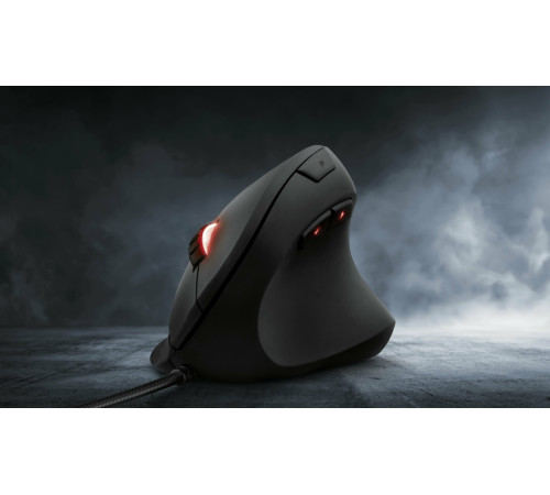 Миша Trust GXT144 Rexx Ergonomic Black (22991)