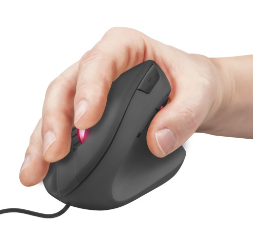 Миша Trust GXT144 Rexx Ergonomic Black (22991)
