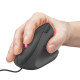 Миша Trust GXT144 Rexx Ergonomic Black (22991)
