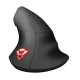 Миша Trust GXT144 Rexx Ergonomic Black (22991)