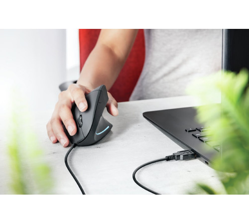 Миша VERTO ERGONOMIC MOUSE BLACK (22885_TRUST)