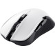 Игровая мышь Trust GXT 923 YBAR Wireless White (24889_TRUST)