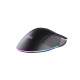 Ігрова миша 2E GAMING MG350 WL, RGB USB Black (2E-MG350UB-WL)