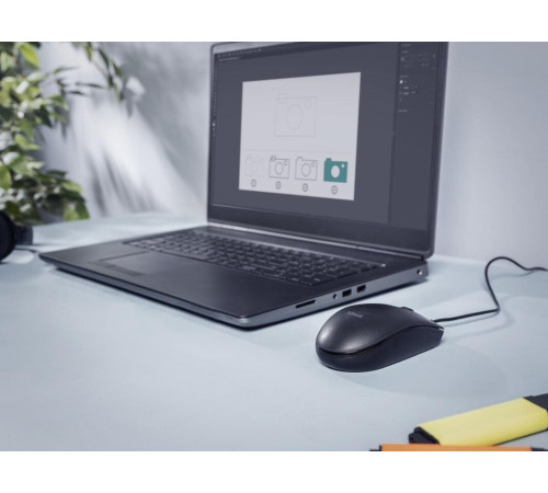 Миша Trust Basic USB Black (24271)